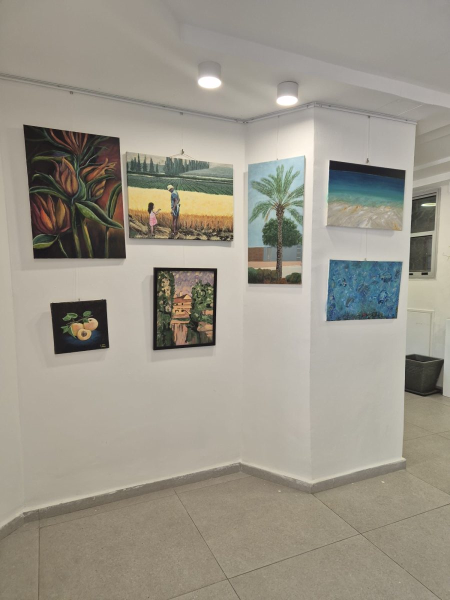 מועצה מקומית גדרה