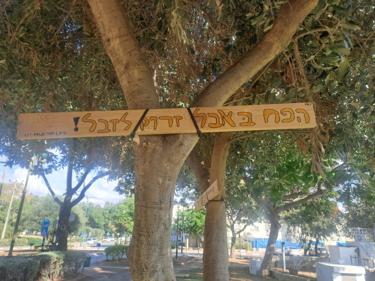 מועצה מקומית גדרה