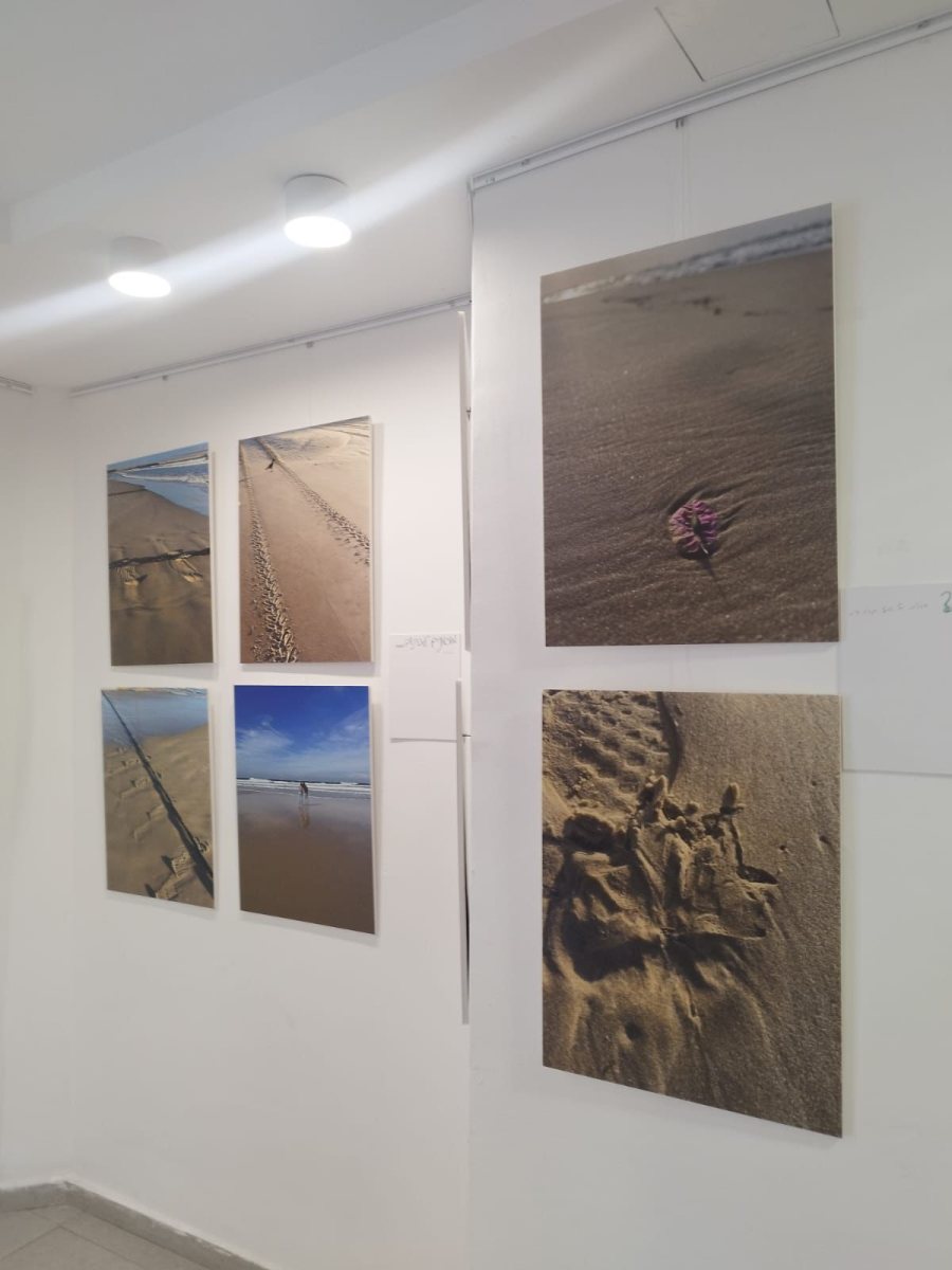 דוברות מועצת גדרה