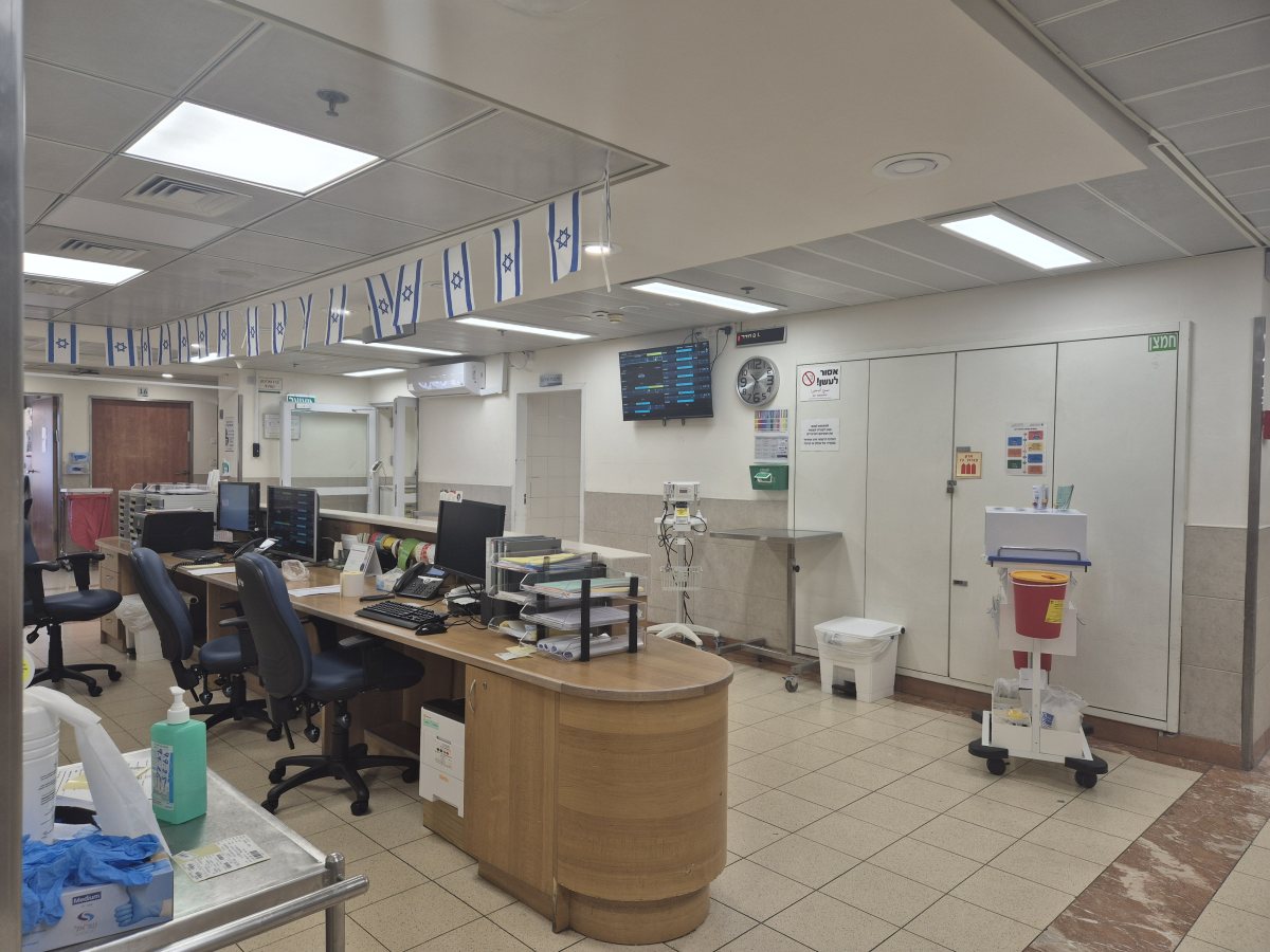 בית חולים אילוסטרציה אלדה נתנאל 