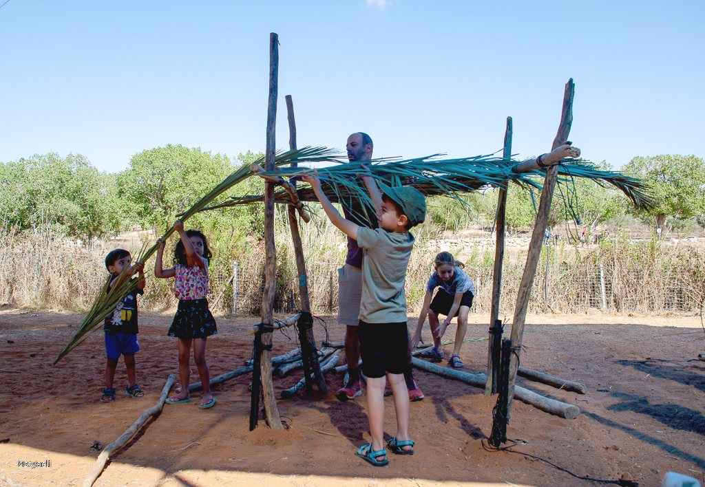 צילום אלדד מאסטרו