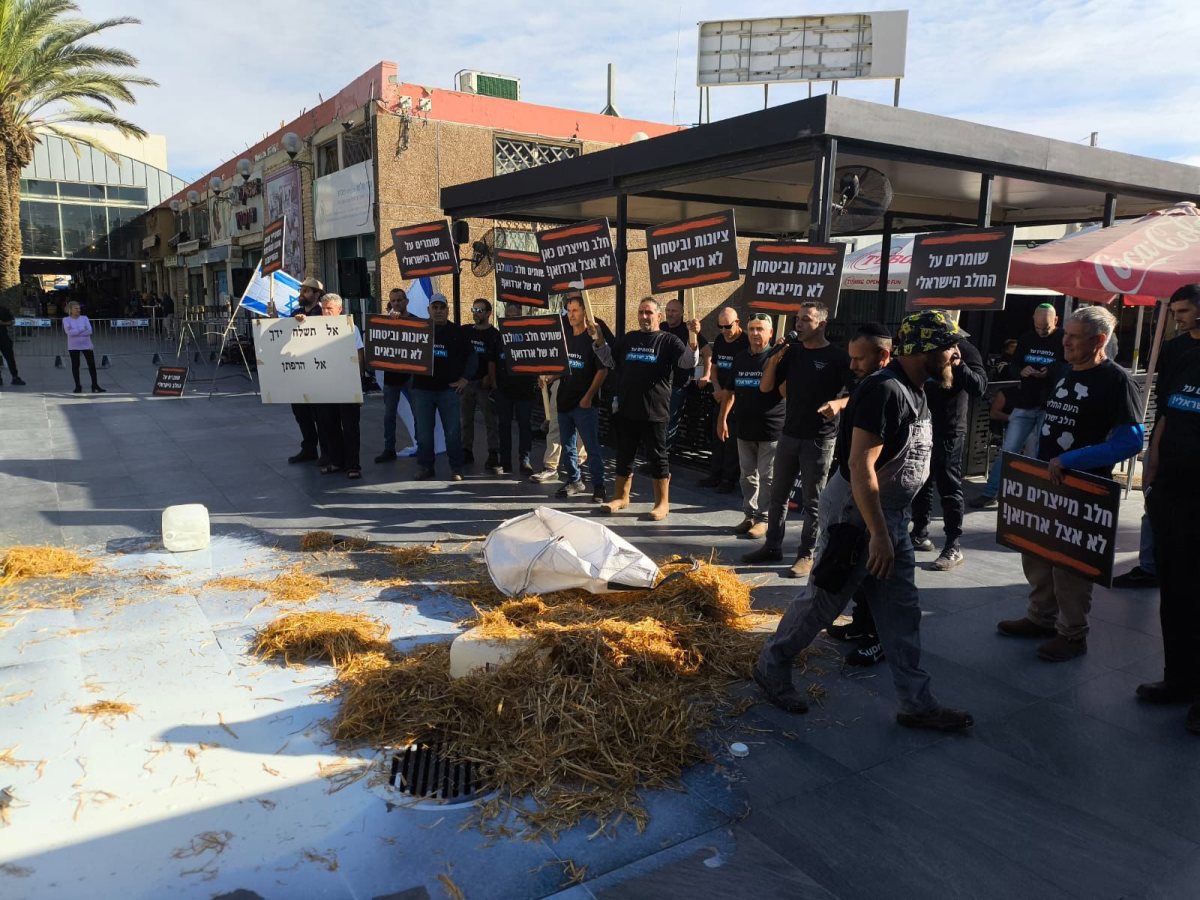 דוברות תנועת המושבים