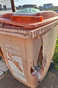 אלה בן עזרא, הילה בז׳רנו 