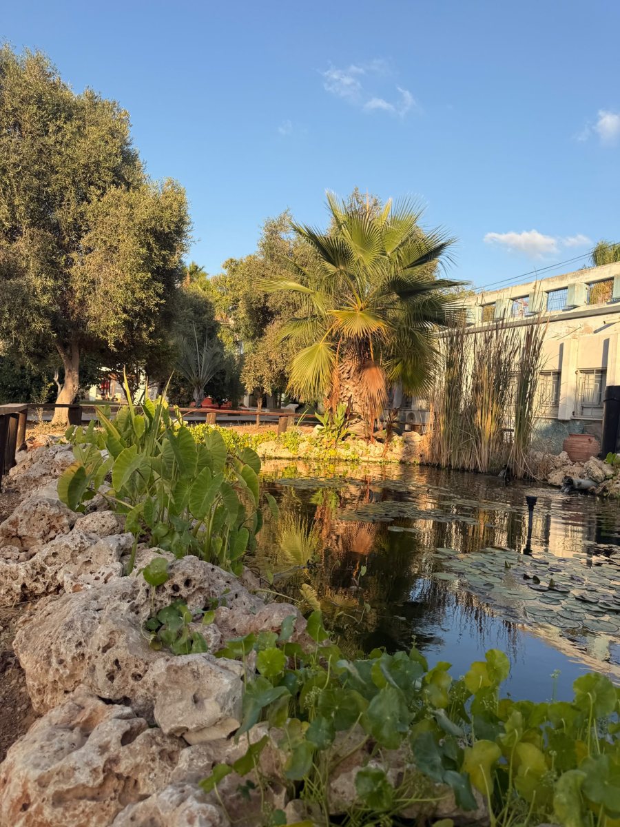 אורט ימי אשדוד