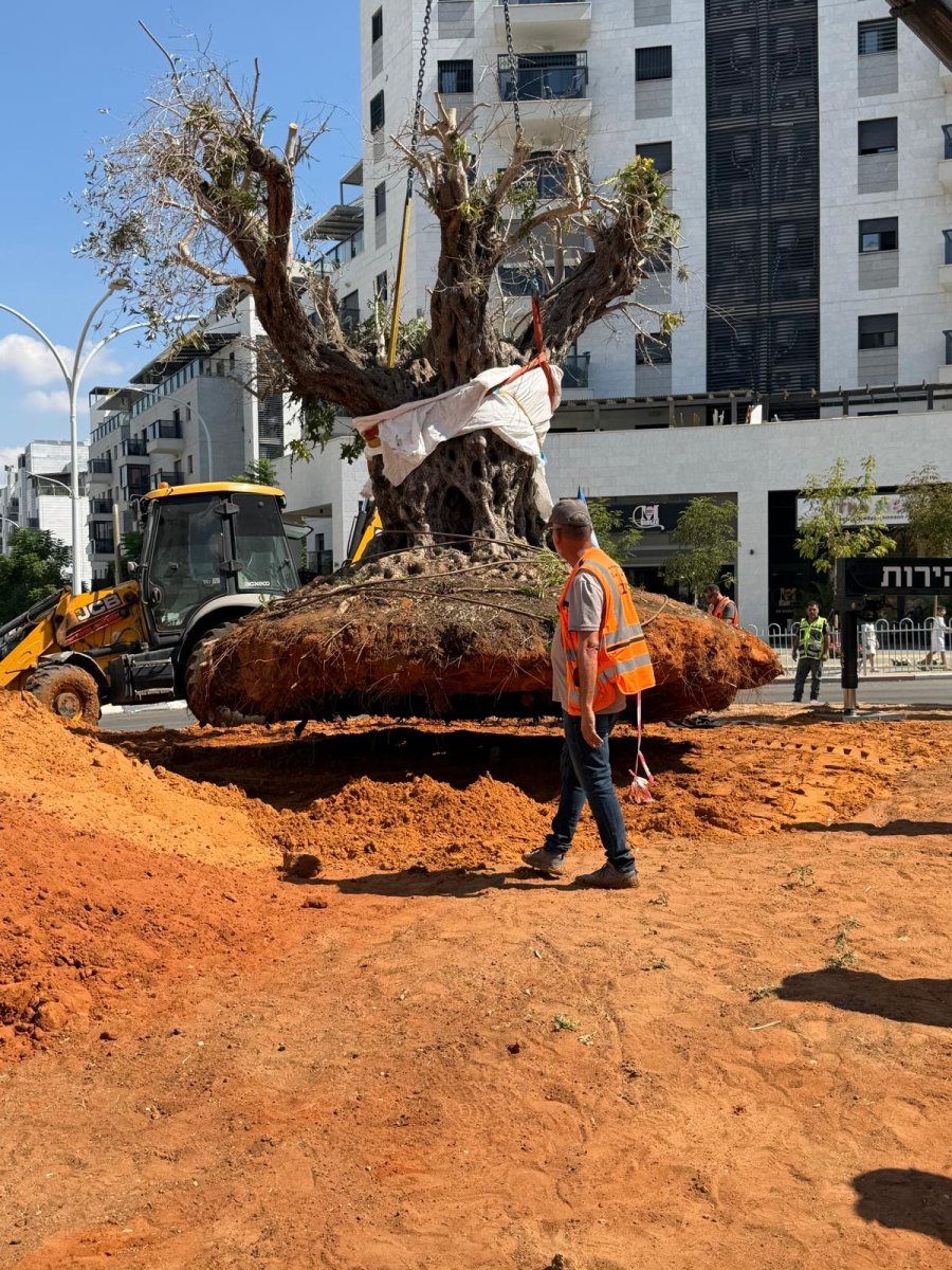 המועצה המקומית גדרה