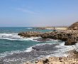 רבו טיולינו כרימון: רשות הטבע והגנים פותחת את השנה החדשה בטבע