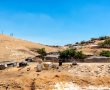יצאה לעבוד, והוכתה באכזריות על ידי אחיה.