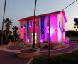 גן יבנה מאירה בסגול: מבנה המועצה והמועצה הדתית בציון היום הבינלאומי לזכויות אנשים עם מוגבלויות
