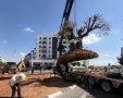 צילום: המועצה המקומית גדרה