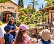סוכות של מורשת בגדרה - סיורים לכל המשפחה במוזיאון ובאתרים היסטוריים
