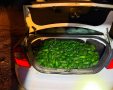 צילום: דוברות המשטרה