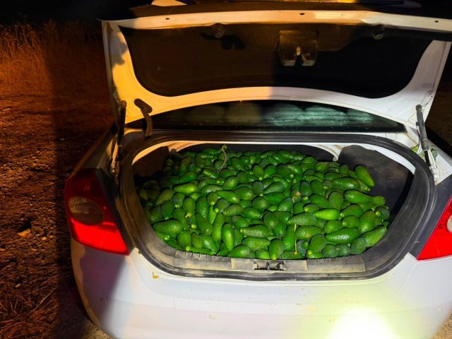 צילום: דוברות המשטרה