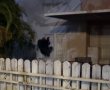 תושב גדרה גילה תושייה והוביל ללכידת פורץ סדרתי בשכונת רשפים- תיעוד