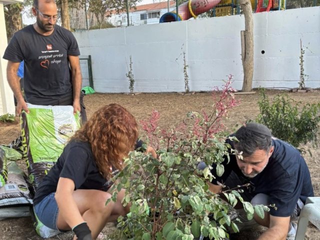 צילום: חברת החשמל