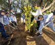 "כי האדם עץ השדה": 