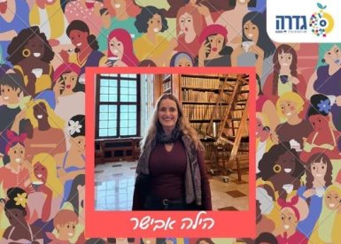 מועצה מקומית גדרה