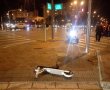 לאור התאונות הרבות: לתושבי באר שבע נמאס מהקורקינטים החשמליים