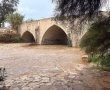לאחר הלילה הגשום באשדוד: צפו בזרימה המרהיבה בנחל לכיש השוצף (וידאו) 