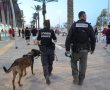 12 אוהדים הורחקו מהמגרשים לאחר שנעצרו אמש בטרנר