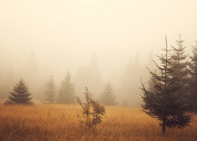 depositephoto אובך