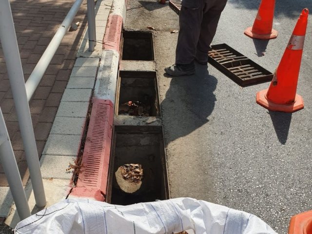 דובורת מועצה גדרה 