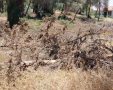 מועצה מקומית גדרה