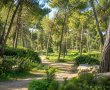 המועצה המקומית גדרה מבהירה: אין כוונה לפגוע בחורשת הרצפלד - העבודות נועדו לשיקום ולשמירה על בטיחות הציבור