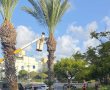הילדים נדקרו מענפי הסכך והגנן נרתם לסייע (וידאו)