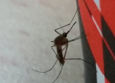 צילום: הגר סבטי - רשות הטבע והגנים