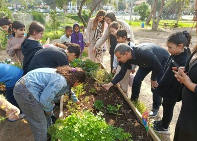 מועצה מקומית גדרה